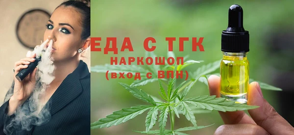 индика Арсеньев