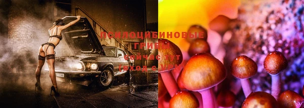 а пвп мука Баксан
