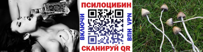 Псилоцибиновые грибы Psilocybine cubensis  Дорогобуж 