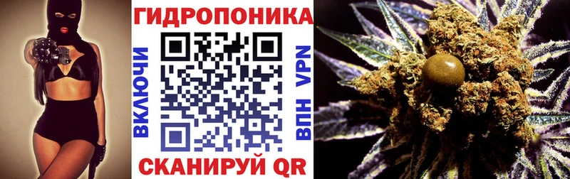 Бошки Шишки семена  продажа наркотиков  Дорогобуж 